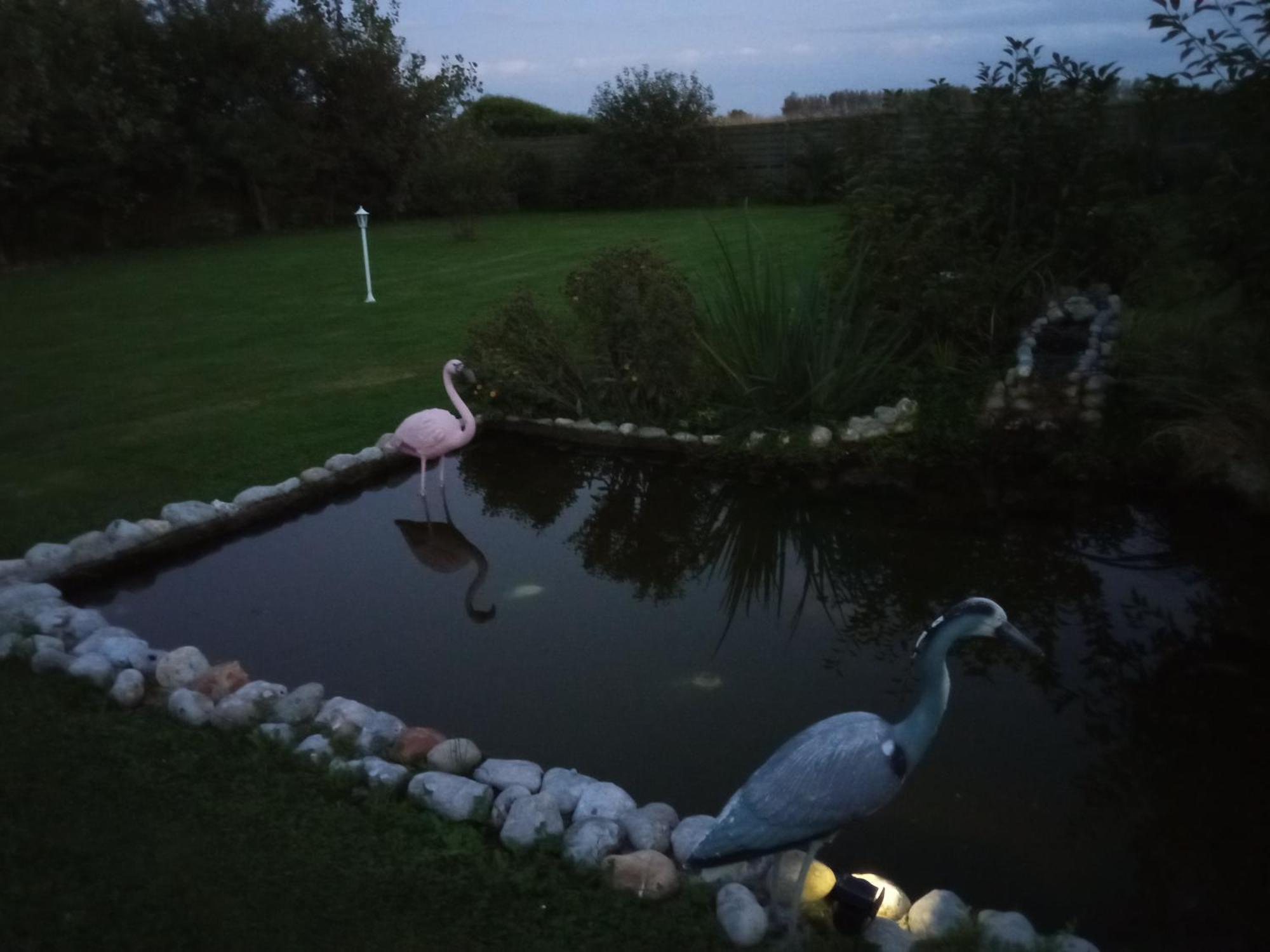 Gite Repos Et Tranquillite P Cayeux-sur-Mer Exteriér fotografie