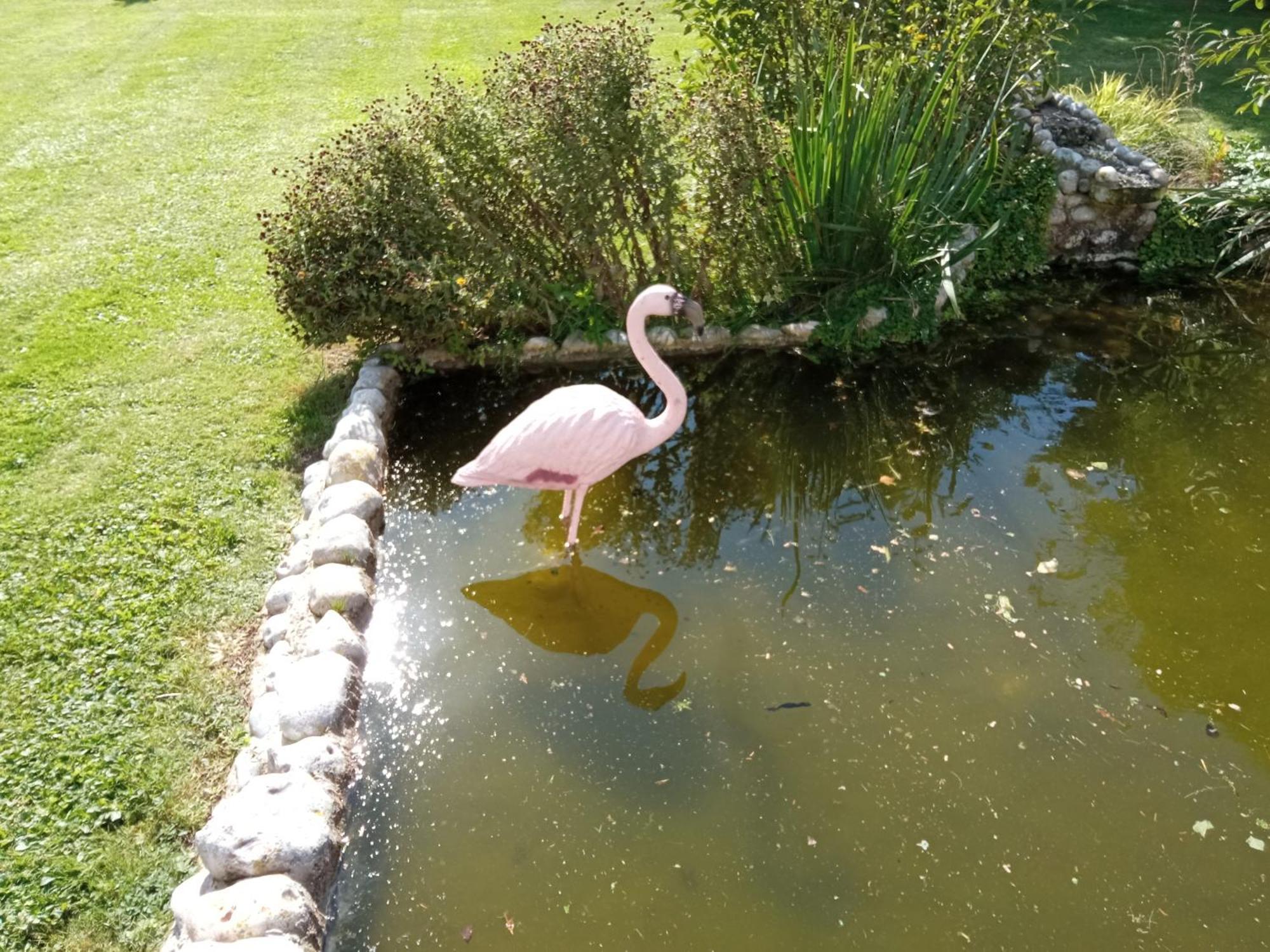 Gite Repos Et Tranquillite P Cayeux-sur-Mer Exteriér fotografie